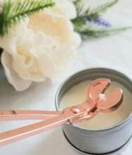 Stainless Steel Wick Trimmer and Wick Catcher - P.A.J
