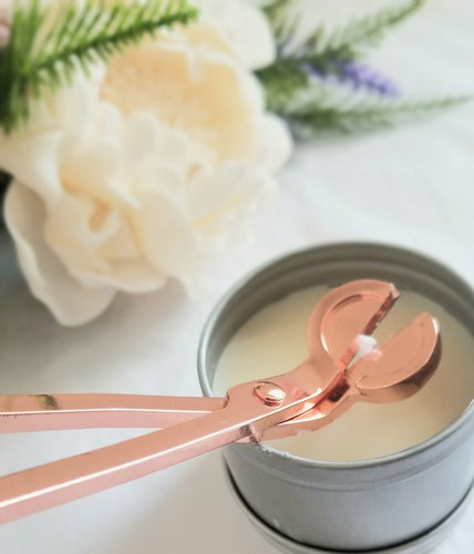 Stainless Steel Wick Trimmer and Wick Catcher - P.A.J